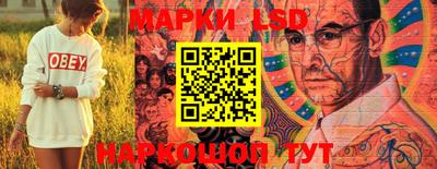 apvp Заволжье
