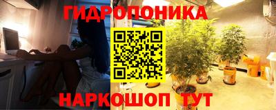 apvp Заволжье