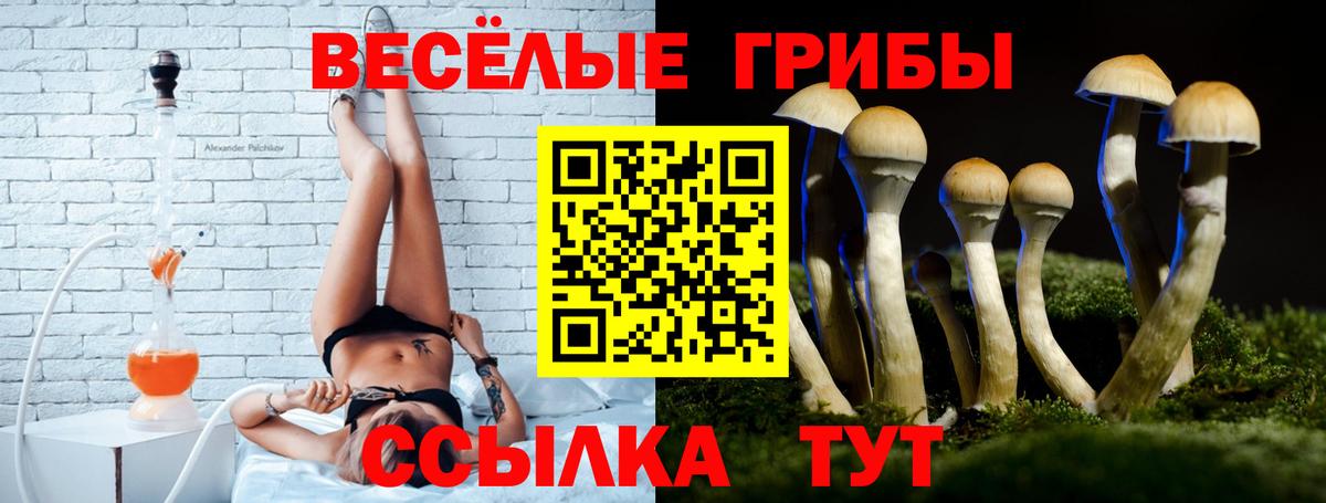Галлюциногенные грибы Magic Shrooms Кулебаки