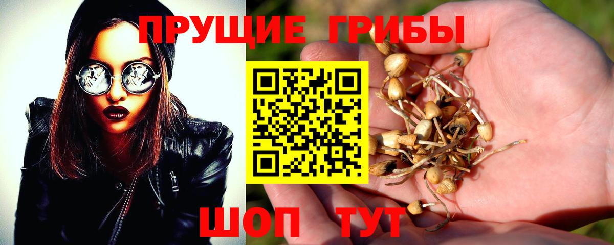 где продают наркотики  Вход с VPN  Кулебаки  Галлюциногенные грибы ЛСД  Галлюциногенные грибы прущие грибы 